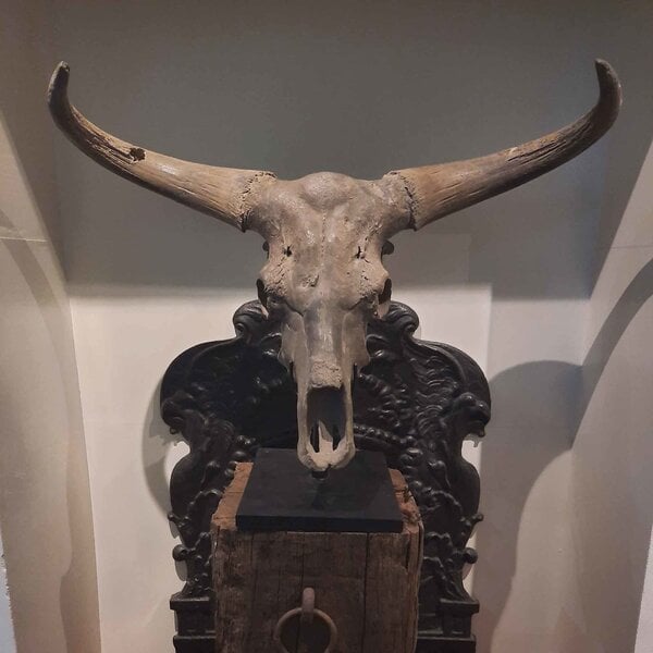 Gefossiliseerde Oeros