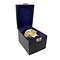 Human skull in box