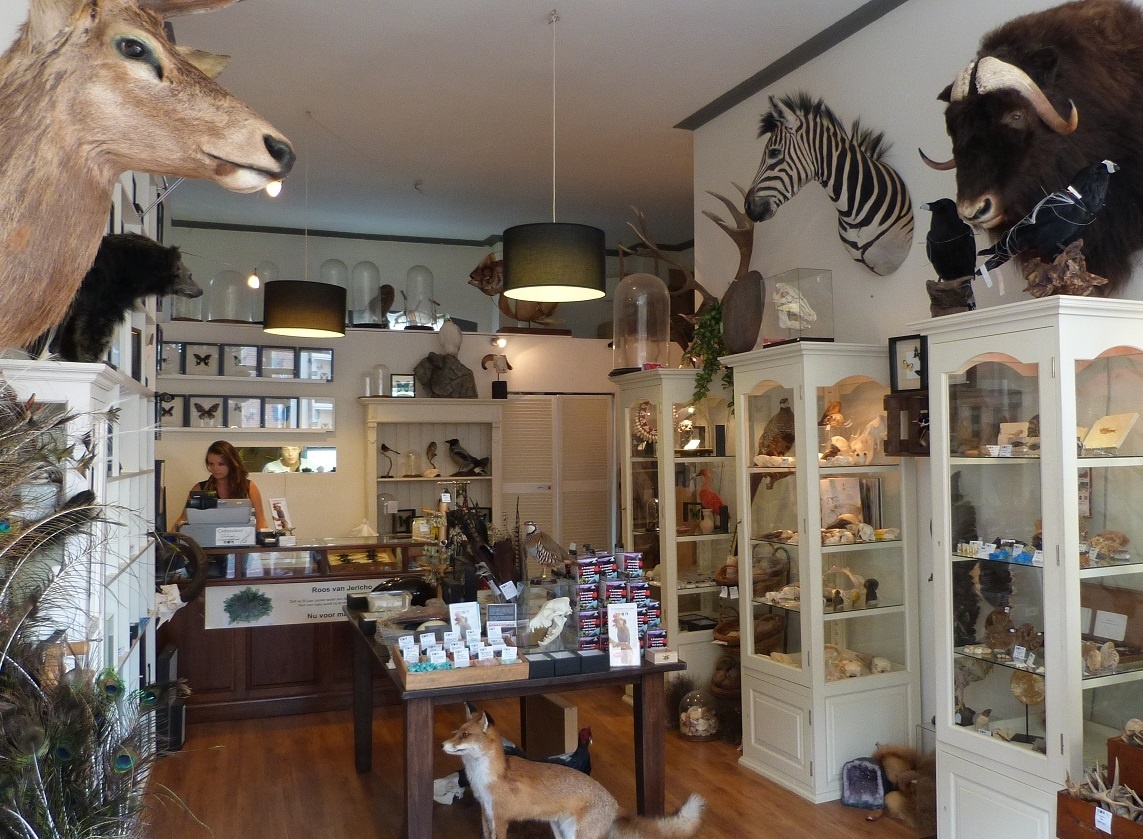 Oude winkel 1