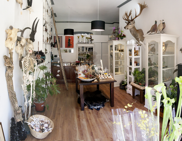 Oude winkel 4