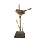 Mounted Bearded Reedling