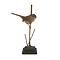 Mounted Bearded Reedling