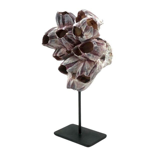 Zeepokken (S) op sokkel