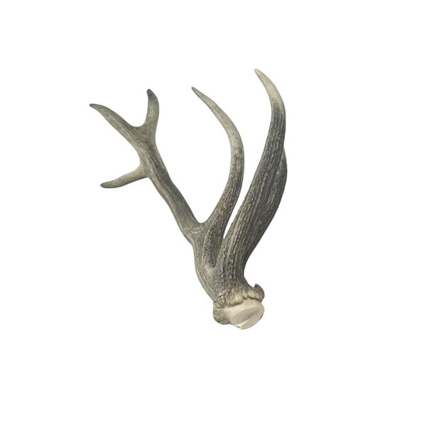 Hirschgeweihstange (B)