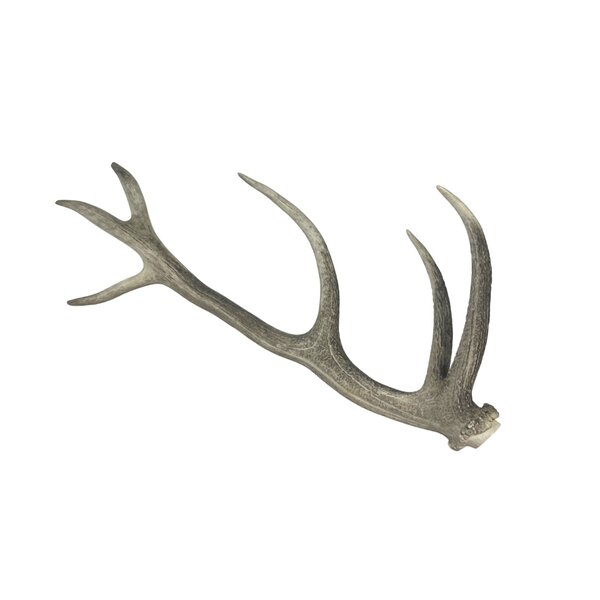 Deer antler rod (B)