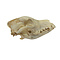 German shepherd Dog Skull
