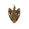 Common snapping turtle skull