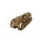 Common snapping turtle skull