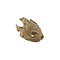 Common snapping turtle skull