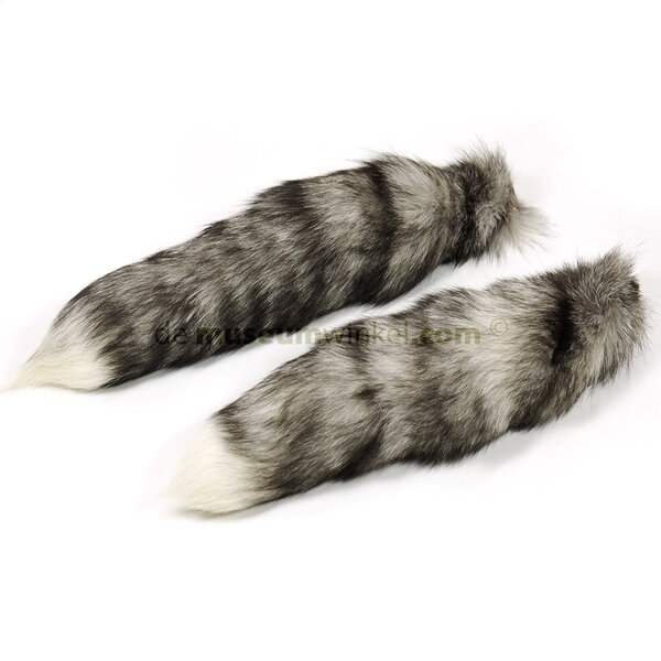 Schwanz Blaufuchs (licht)