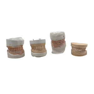 Dental bits