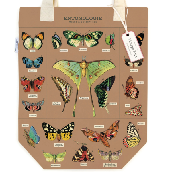 Totebag - Entomology