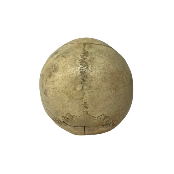 Menschlichen Schädel (B)