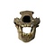 Cave bear skull