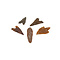 Neanderthal arrowheads (5 pieces)
