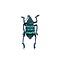 Eupholus sp.  - colorful weevil dried/papered