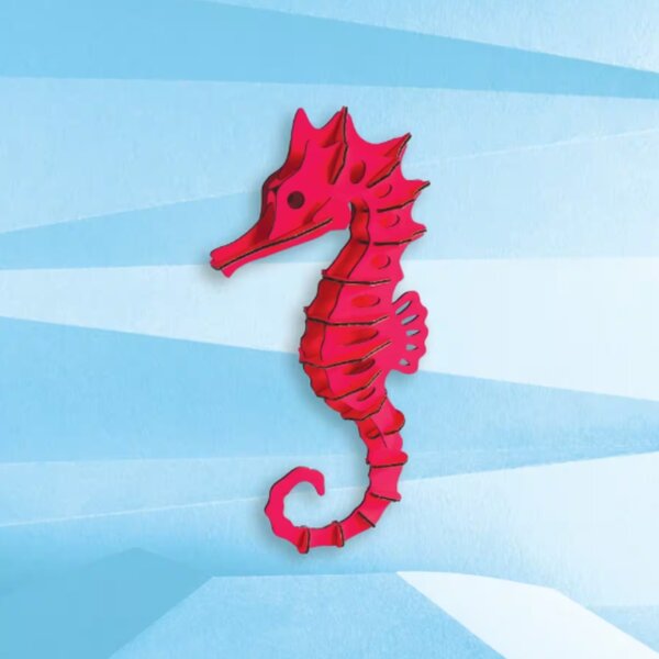 DIY kit - Seepferdchen