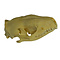 Skull of a hedgehog
