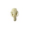 Skull hamster