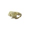 Skull hamster