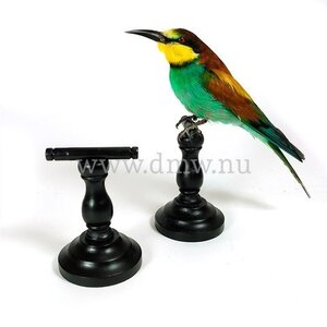 Pedestal B / 10.5cm