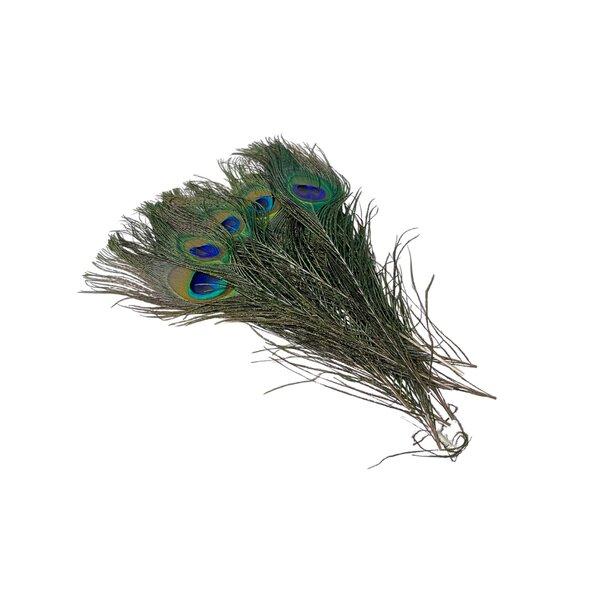 Pfaufedern Augen (20 Stück)± 25-30 cm