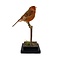 Mounted orange canary (dark)