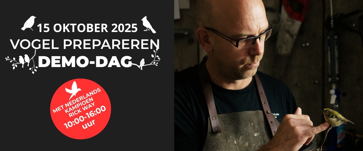 Ontdek de wereld van taxidermie met meervoudig Nederlands Kampioen Rick Way!