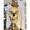 Human skeleton