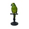 Mounted turquoise-fronted Amazon