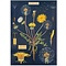 School poster - Dandelions