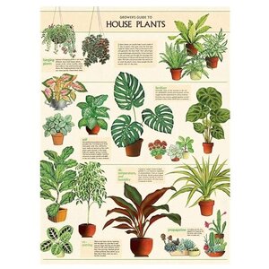 School poster - Houseplants