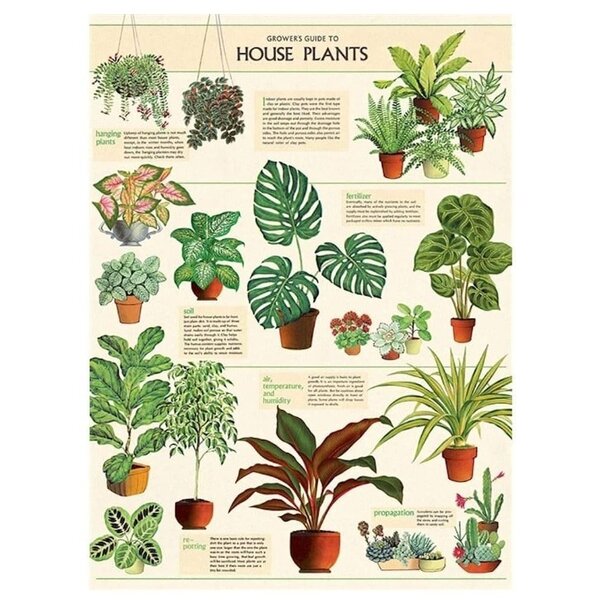 School poster - Houseplants