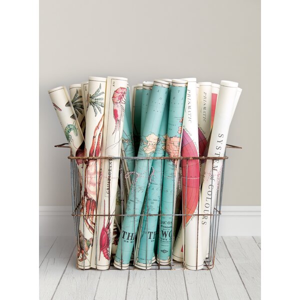 Schoolplaat - Huisplanten