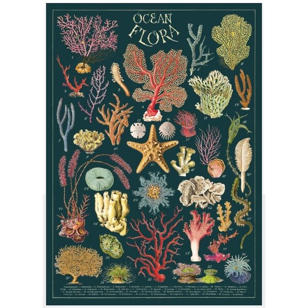 Schoolplaat - Oceaan flora