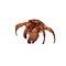 Hermit crab (L)