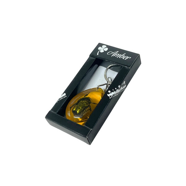 Beetle in amber key ring