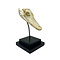 Crocodile skull on standard (small)