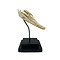 Crocodile skull on standard (small)