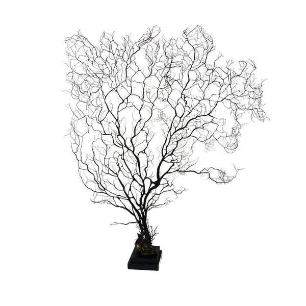 Sea fan XL on metal stand