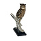 Mounted african eagle owl