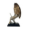 Mounted african eagle owl