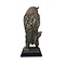 Mounted eagle owl - Owl Taxidermy