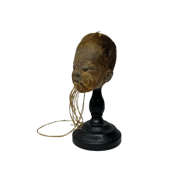 Shrunken head Baby