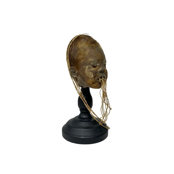 Shrunken head Baby
