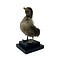 Mounted brown duckling on pedestal