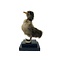Mounted brown duckling on pedestal