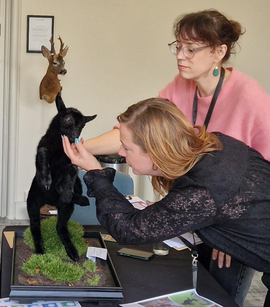 Taxidermie zonder grenzen: Sophie en Daphne beoordelen Britse topstukken