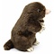 Plush Mole