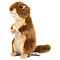 Knuscheltier Taschenratten